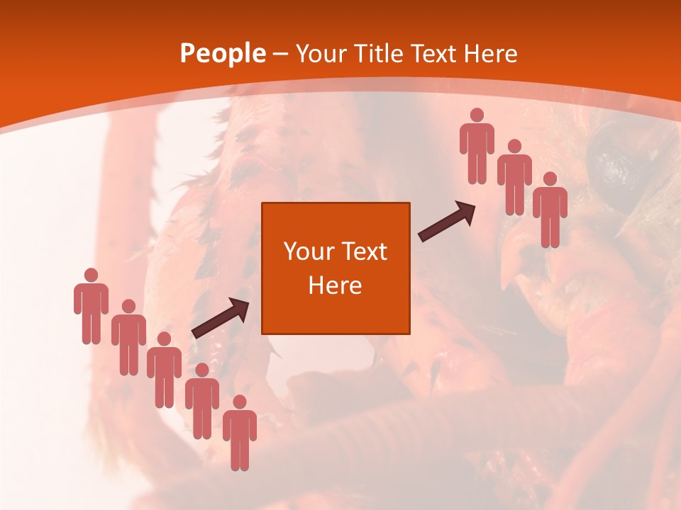 People Di Cu Ion Toon PowerPoint Template