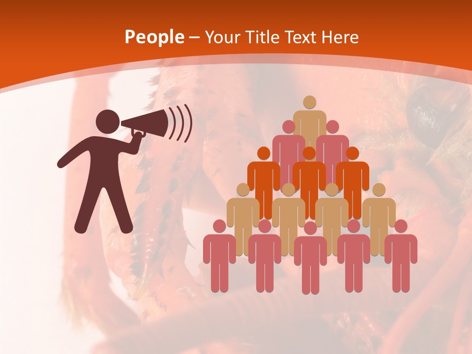 People Di Cu Ion Toon PowerPoint Template