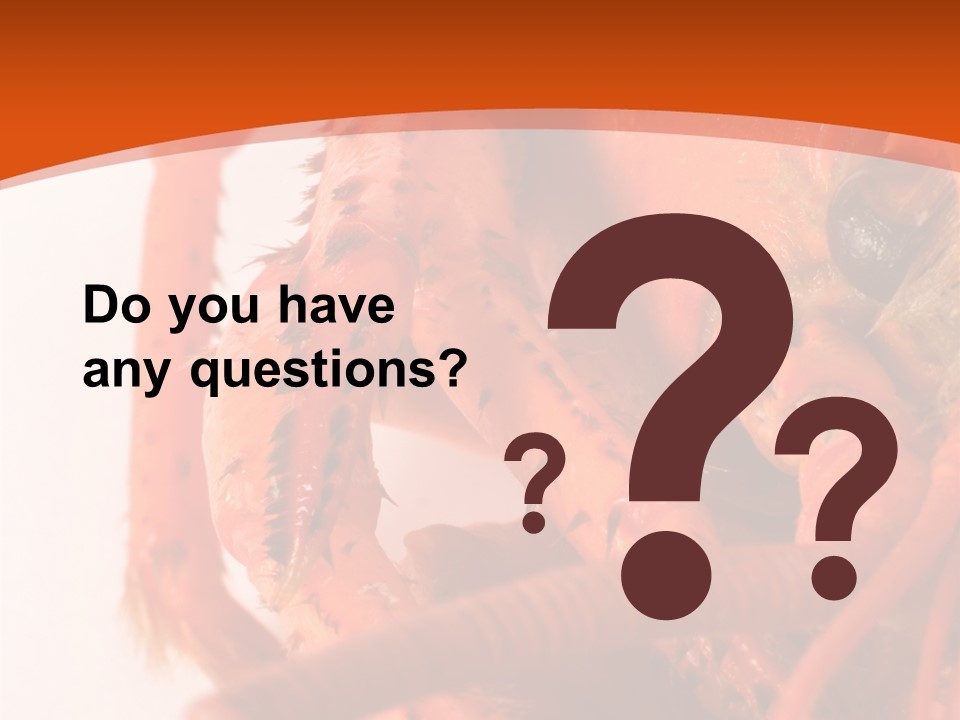 People Di Cu Ion Toon PowerPoint Template