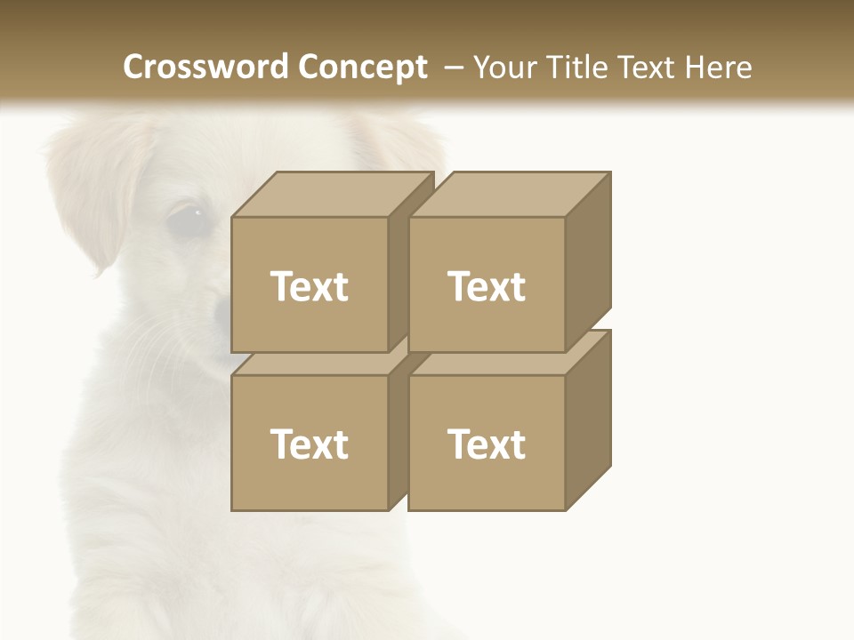 Small Animal Studio PowerPoint Template