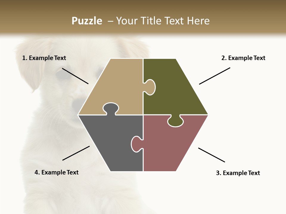 Small Animal Studio PowerPoint Template