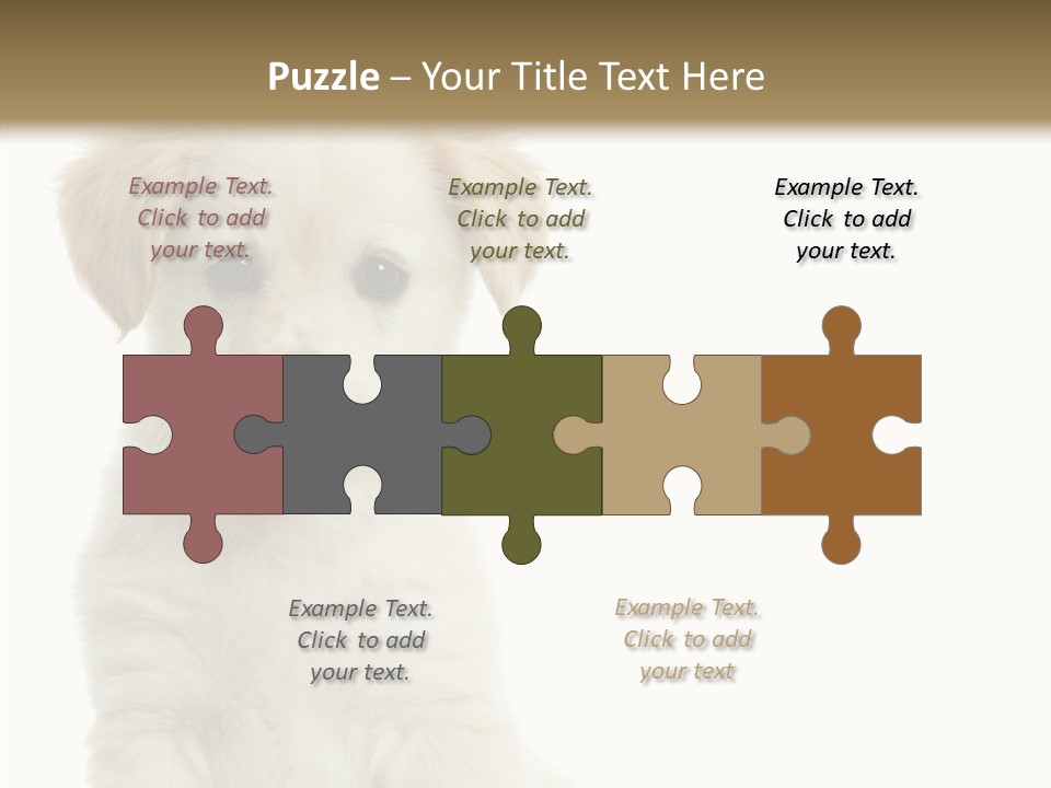 Small Animal Studio PowerPoint Template