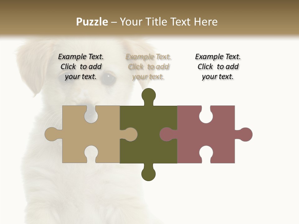 Small Animal Studio PowerPoint Template