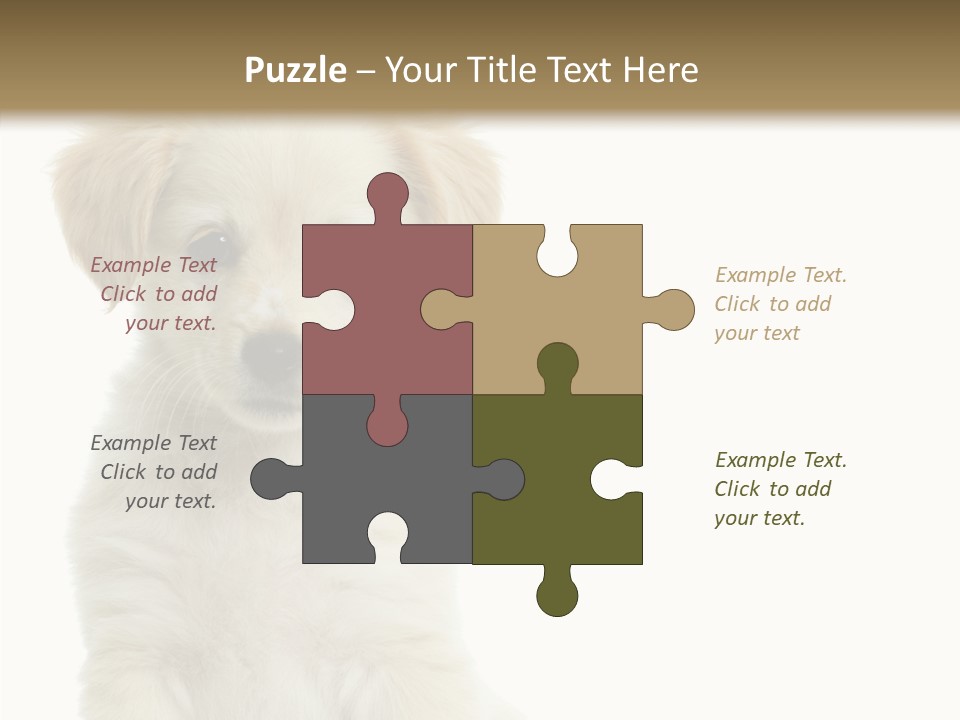 Small Animal Studio PowerPoint Template