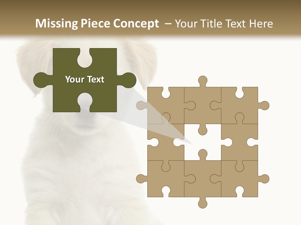 Small Animal Studio PowerPoint Template