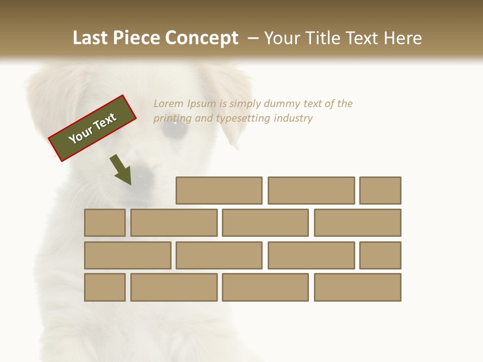 Small Animal Studio PowerPoint Template