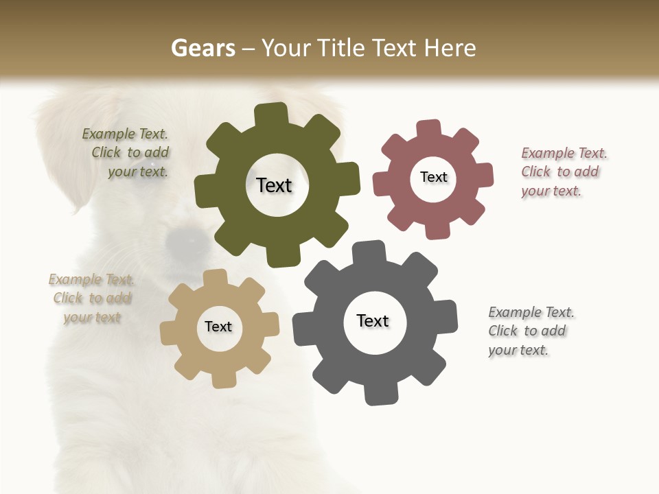 Small Animal Studio PowerPoint Template
