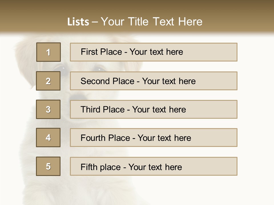 Small Animal Studio PowerPoint Template