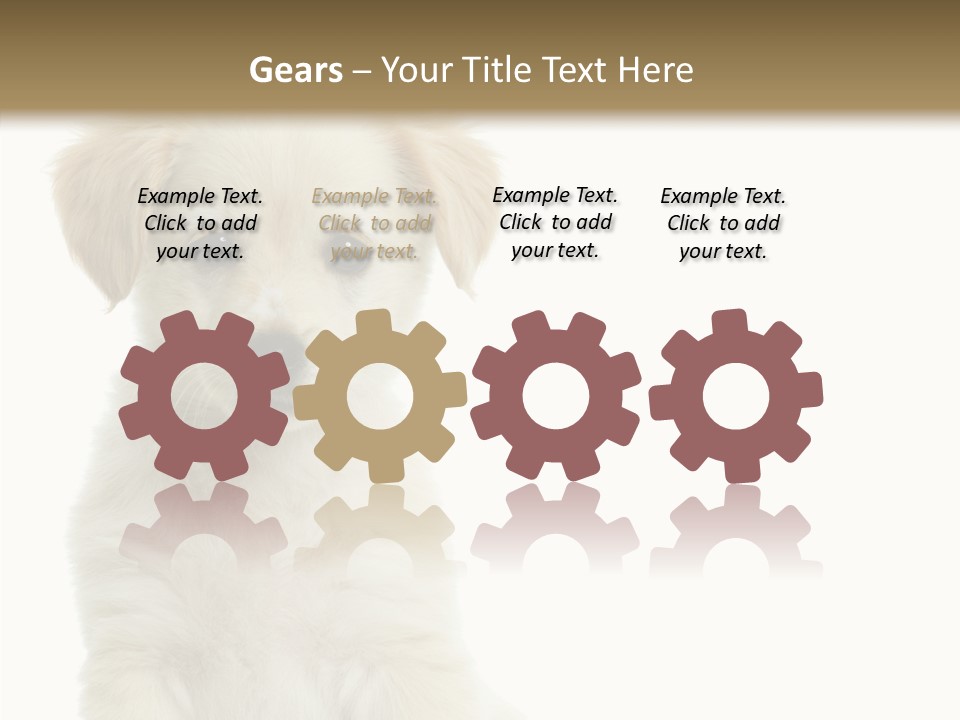 Small Animal Studio PowerPoint Template