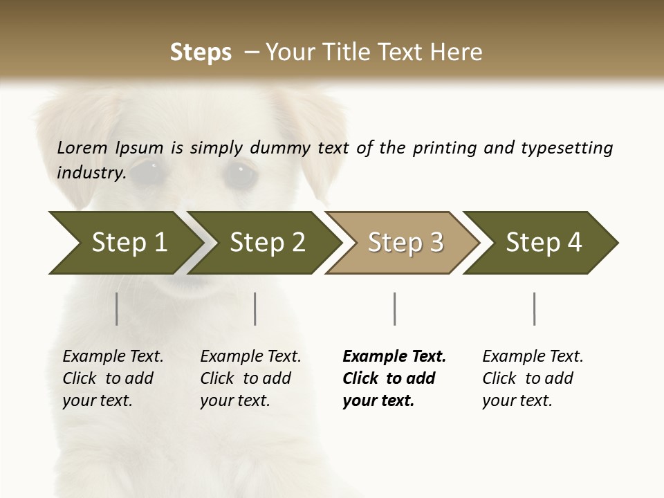 Small Animal Studio PowerPoint Template