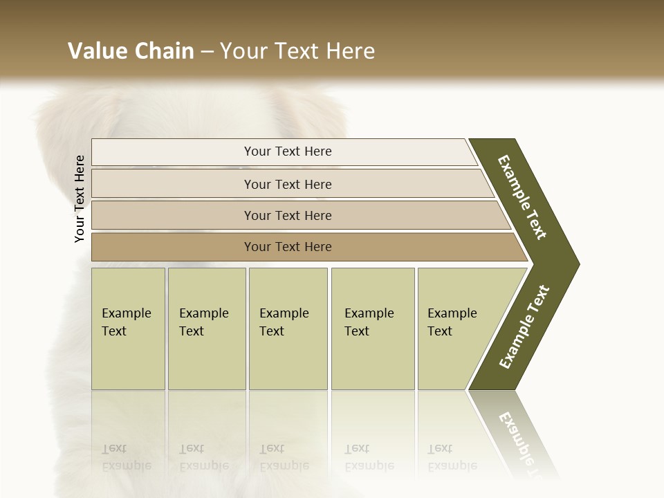 Small Animal Studio PowerPoint Template