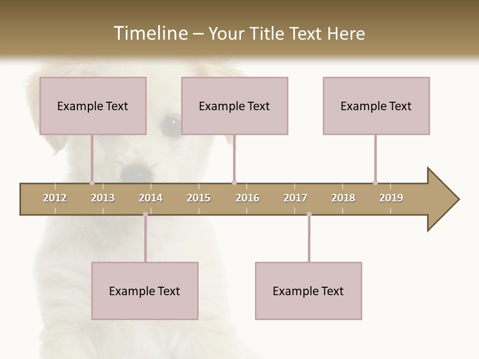 Small Animal Studio PowerPoint Template