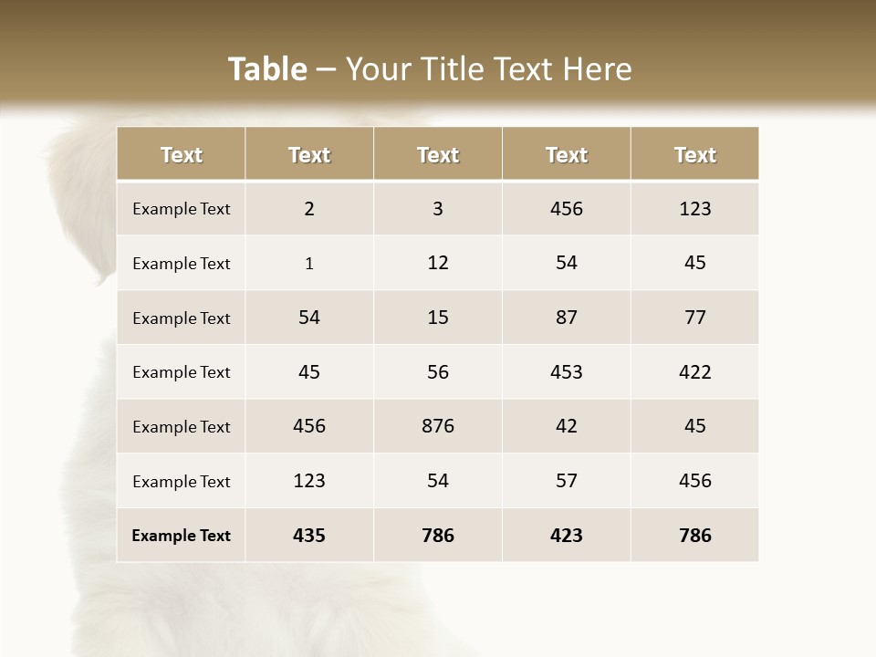 Small Animal Studio PowerPoint Template