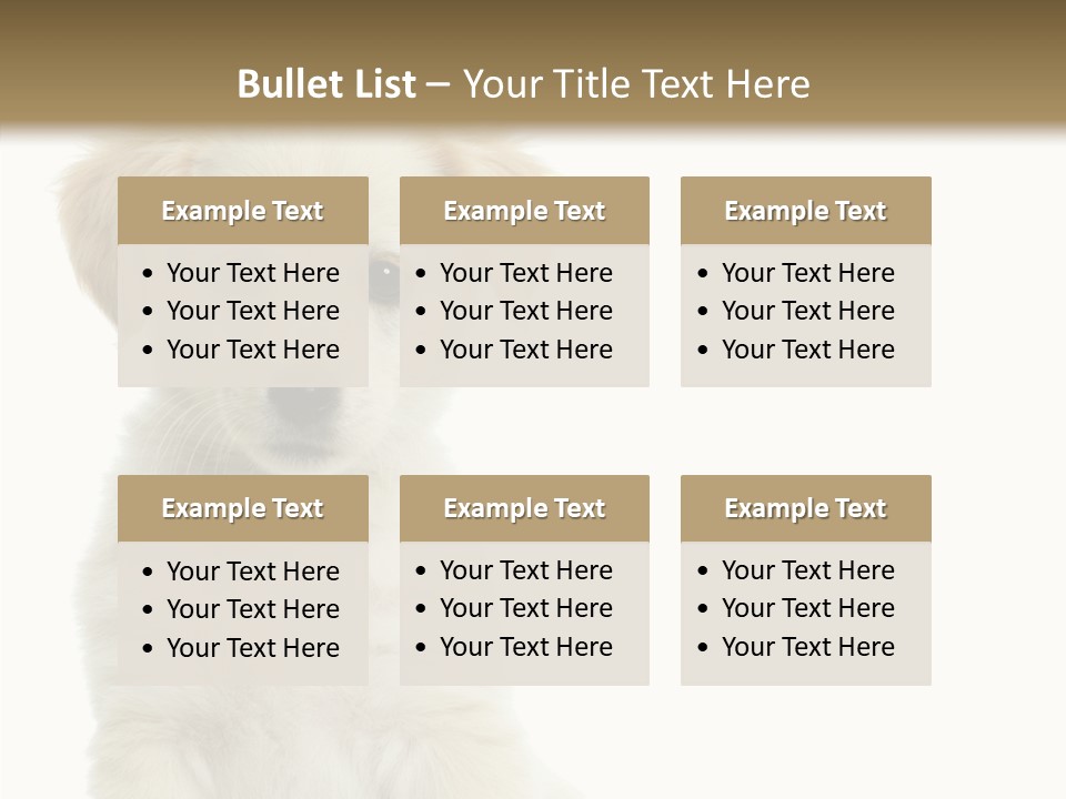 Small Animal Studio PowerPoint Template