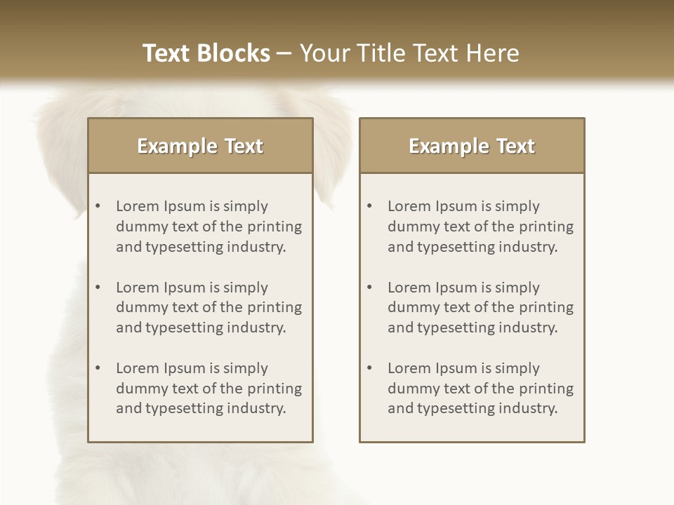 Small Animal Studio PowerPoint Template