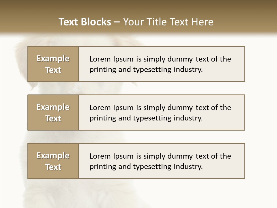 Small Animal Studio PowerPoint Template