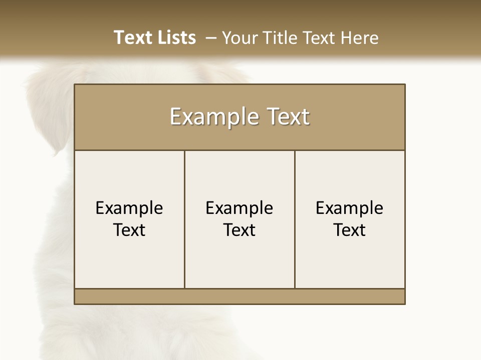 Small Animal Studio PowerPoint Template