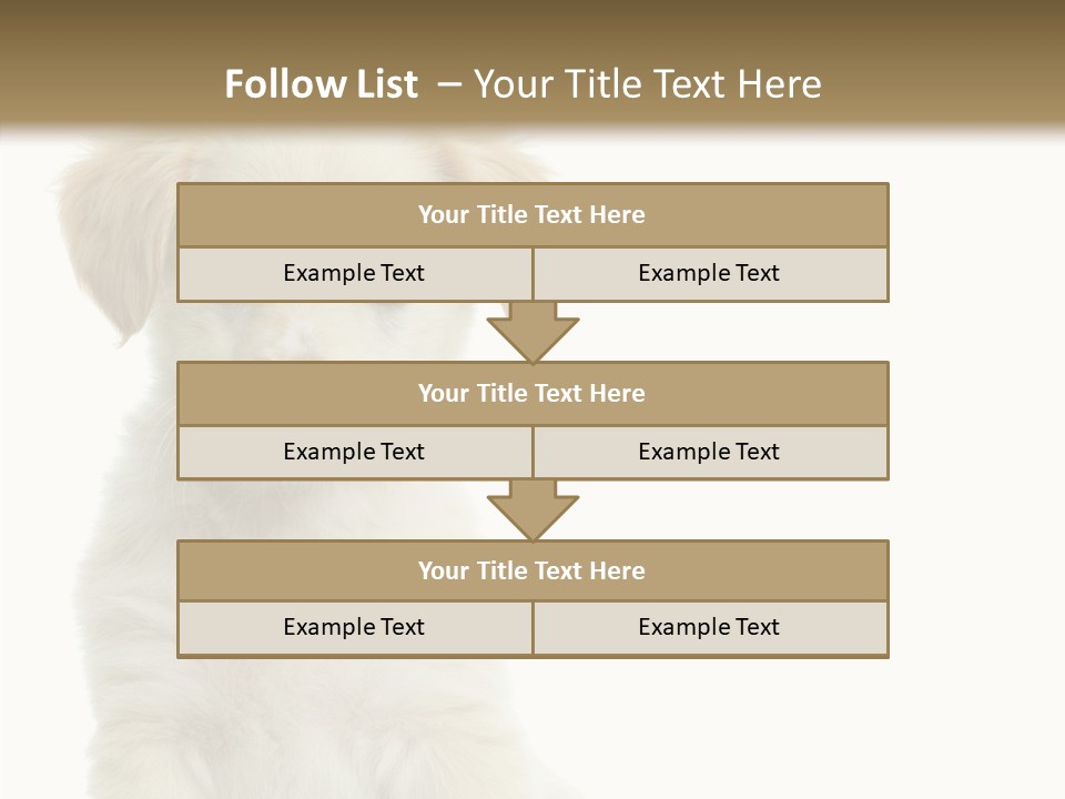 Small Animal Studio PowerPoint Template