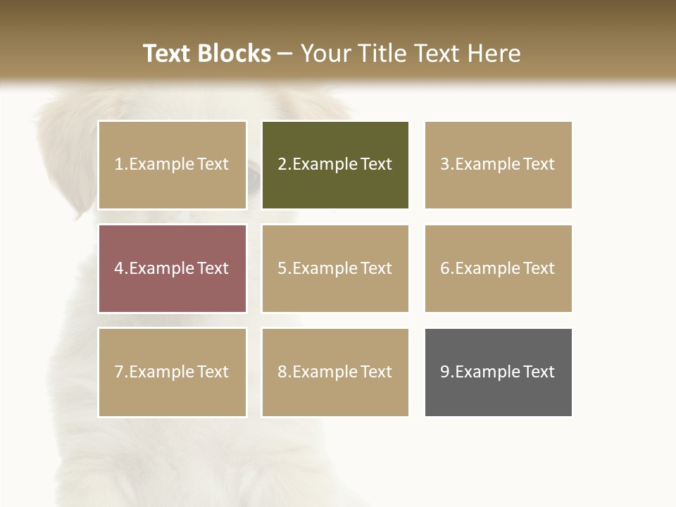 Small Animal Studio PowerPoint Template