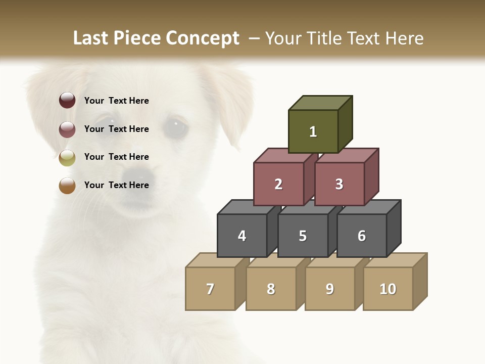 Small Animal Studio PowerPoint Template
