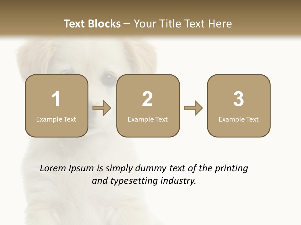 Small Animal Studio PowerPoint Template