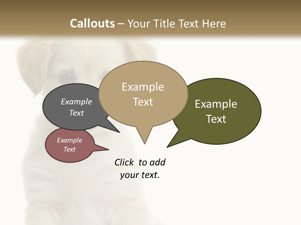 Small Animal Studio PowerPoint Template