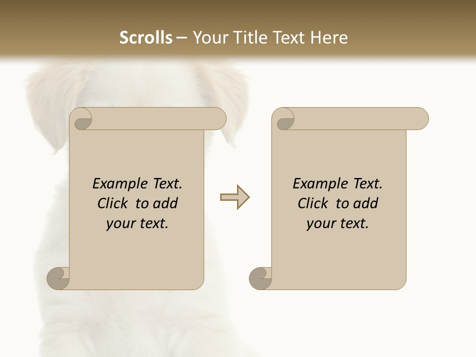 Small Animal Studio PowerPoint Template