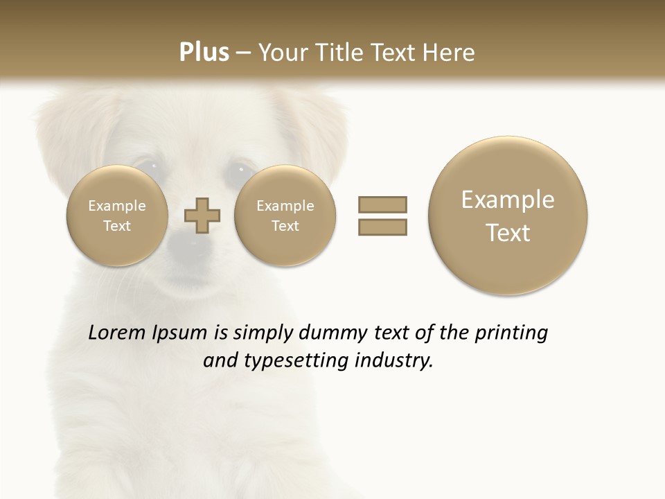 Small Animal Studio PowerPoint Template