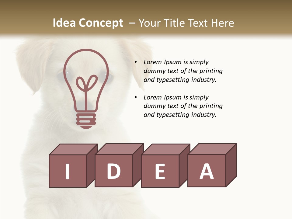 Small Animal Studio PowerPoint Template