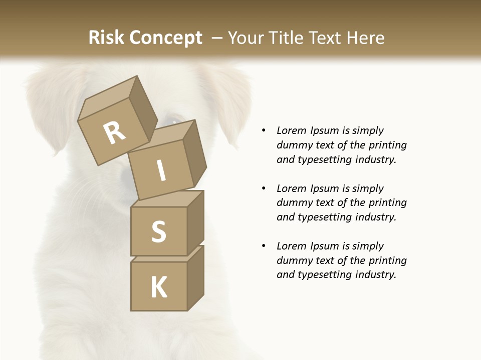 Small Animal Studio PowerPoint Template