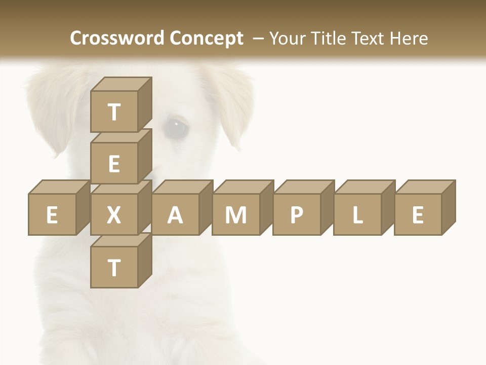 Small Animal Studio PowerPoint Template