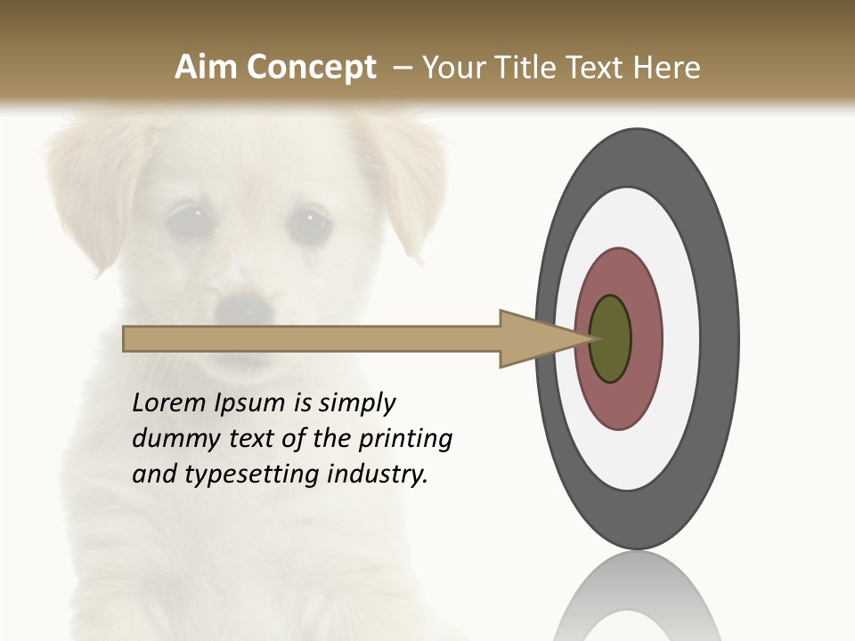Small Animal Studio PowerPoint Template