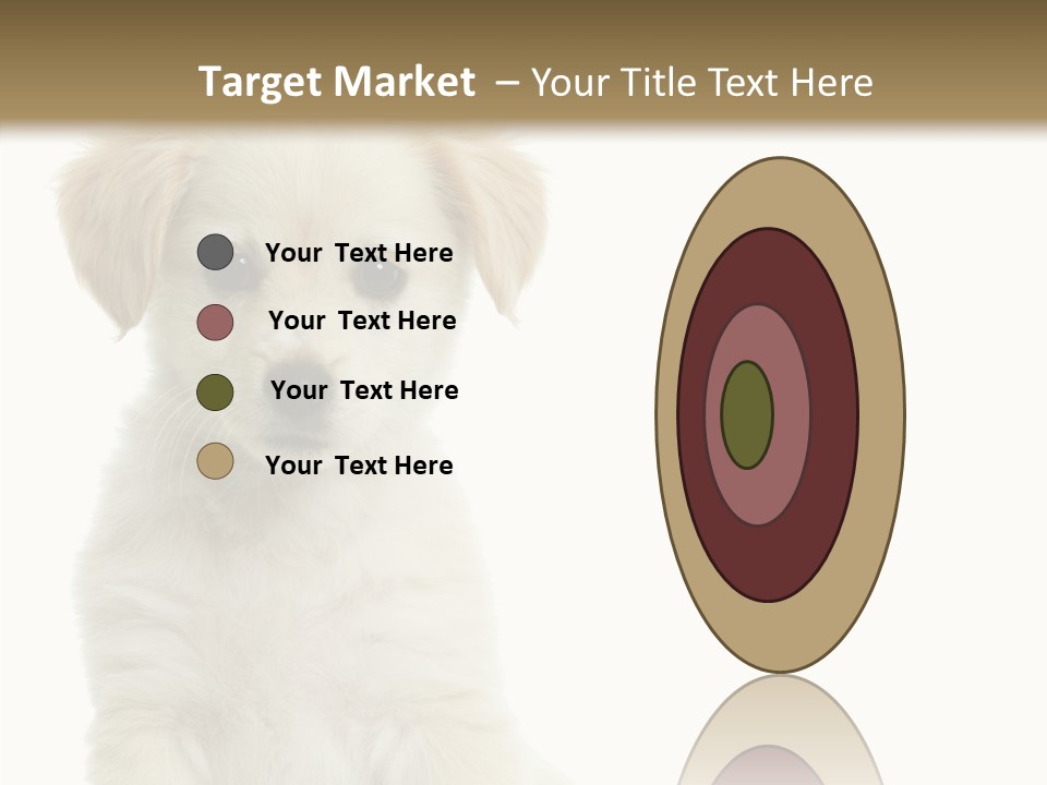 Small Animal Studio PowerPoint Template