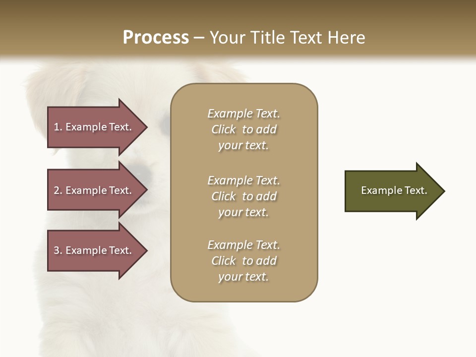 Small Animal Studio PowerPoint Template