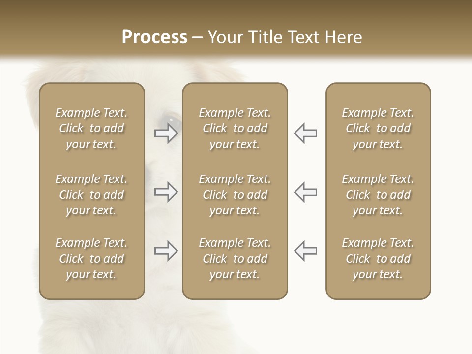 Small Animal Studio PowerPoint Template
