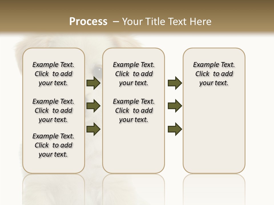 Small Animal Studio PowerPoint Template