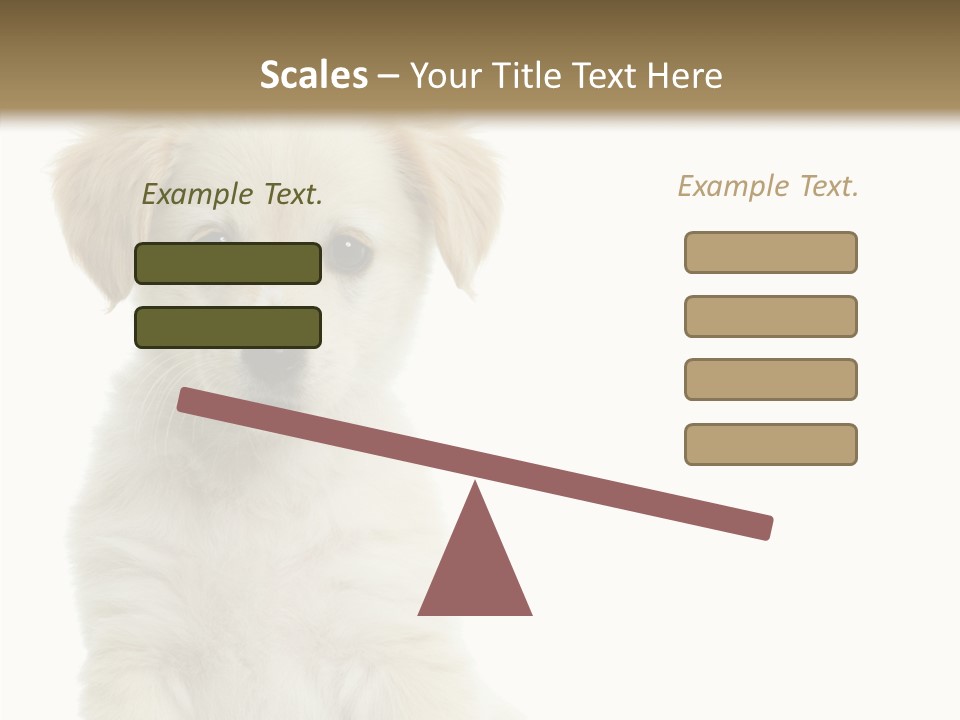 Small Animal Studio PowerPoint Template