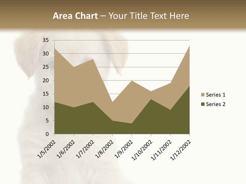 Small Animal Studio PowerPoint Template