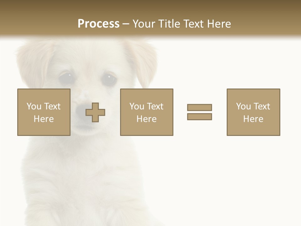 Small Animal Studio PowerPoint Template