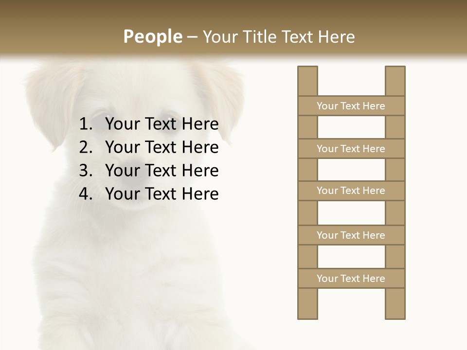 Small Animal Studio PowerPoint Template