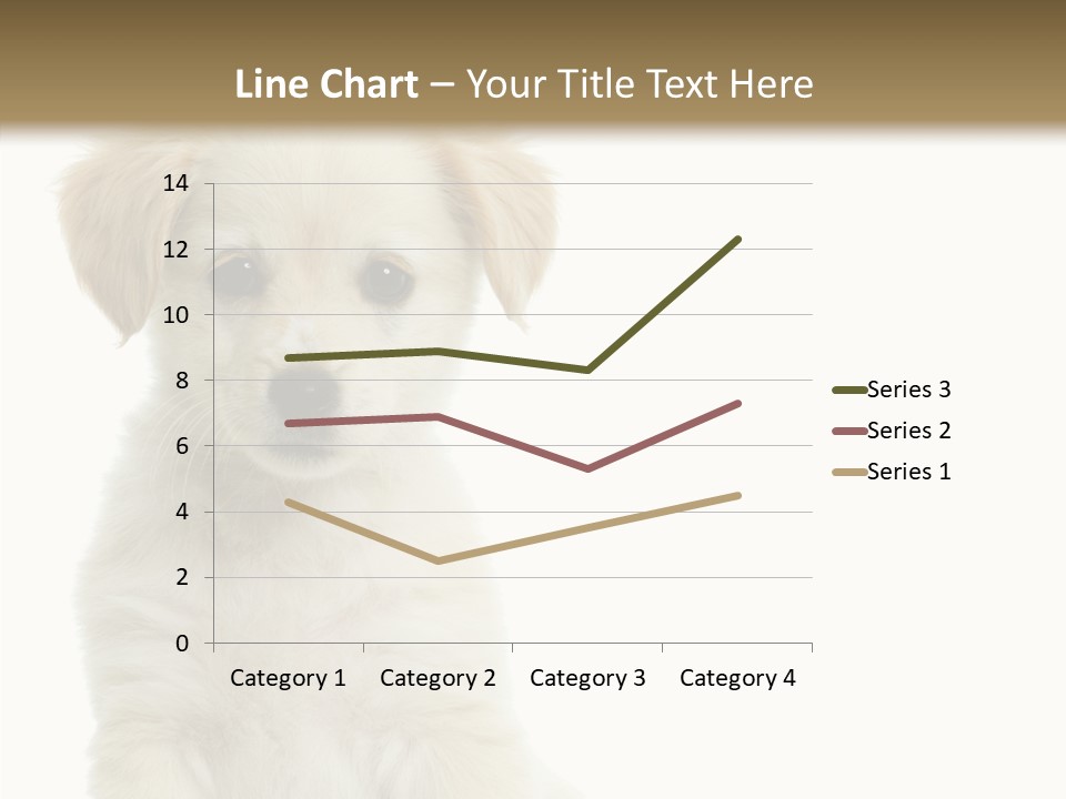 Small Animal Studio PowerPoint Template