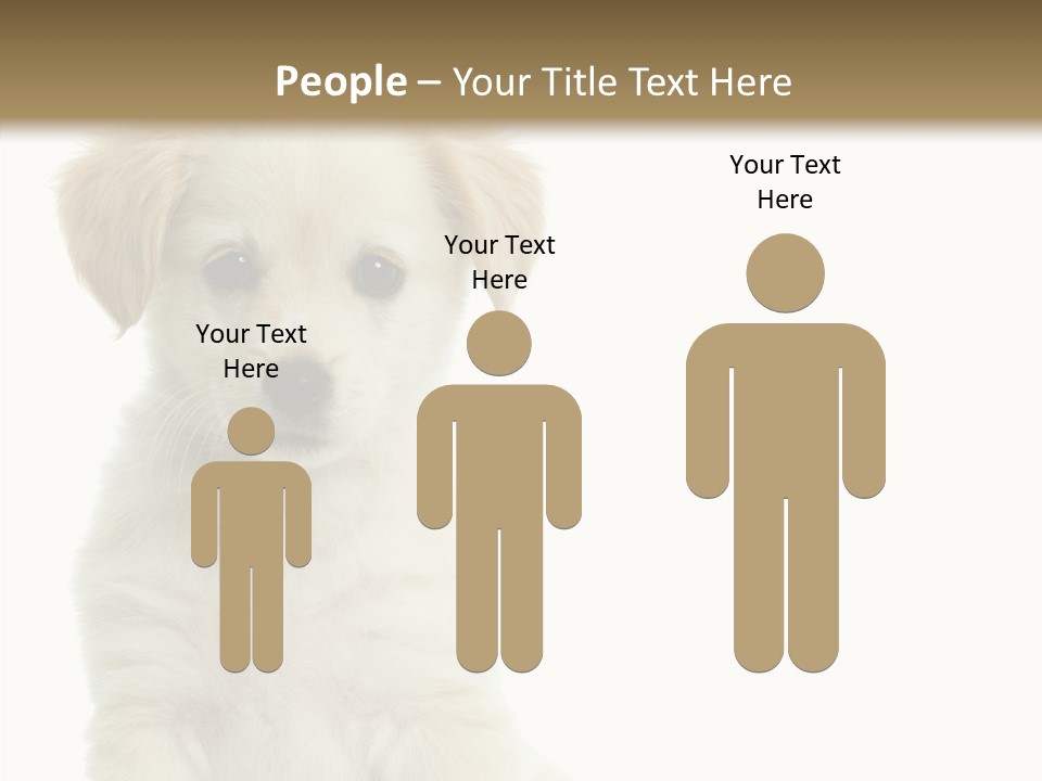 Small Animal Studio PowerPoint Template