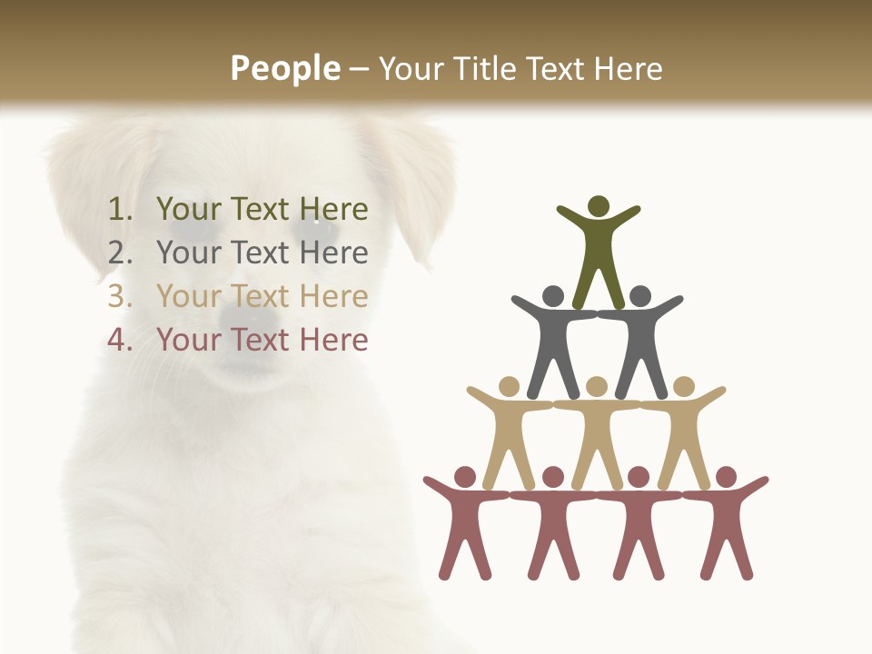 Small Animal Studio PowerPoint Template