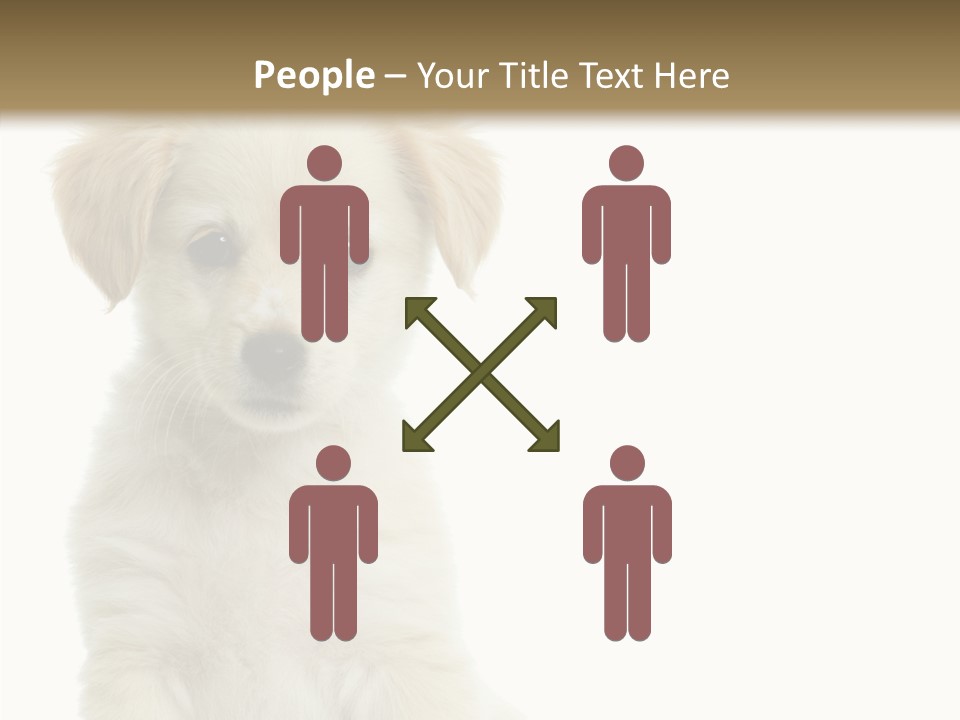 Small Animal Studio PowerPoint Template