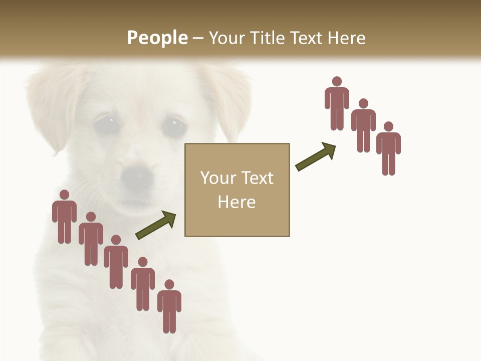 Small Animal Studio PowerPoint Template