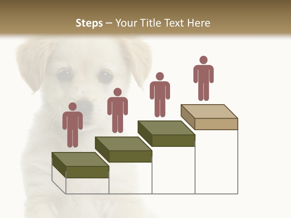 Small Animal Studio PowerPoint Template