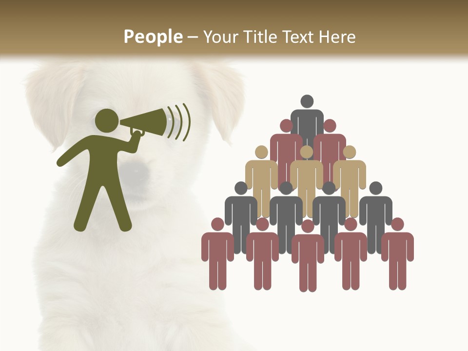 Small Animal Studio PowerPoint Template