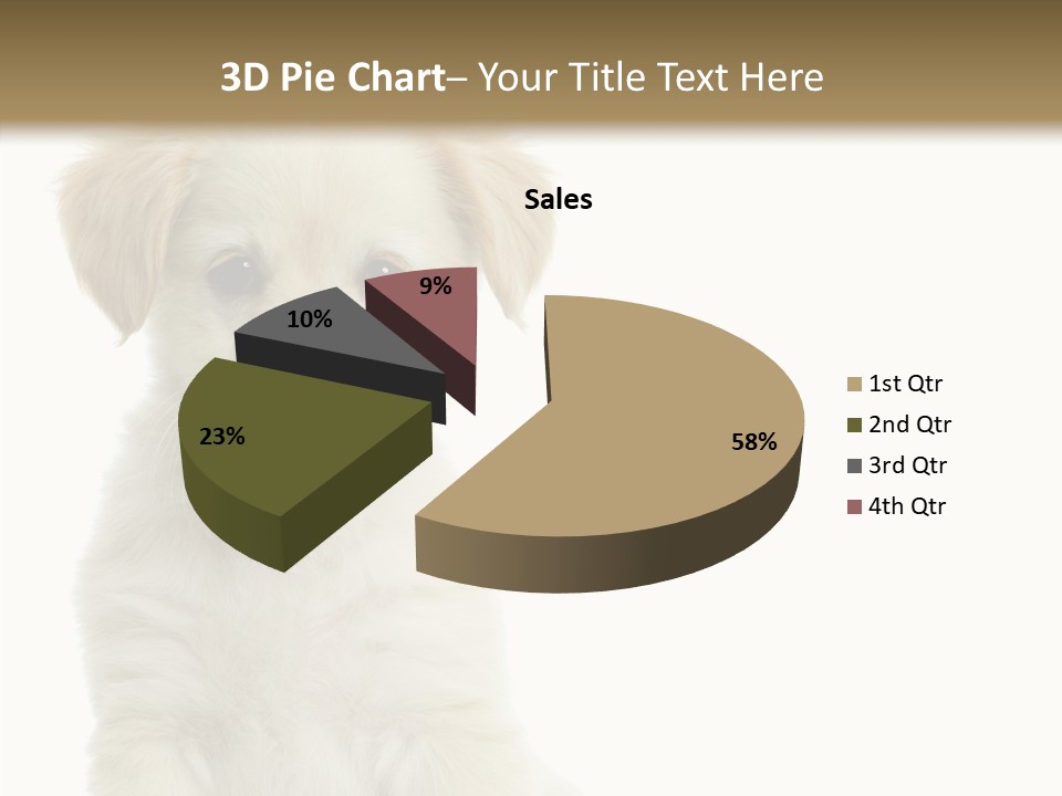 Small Animal Studio PowerPoint Template