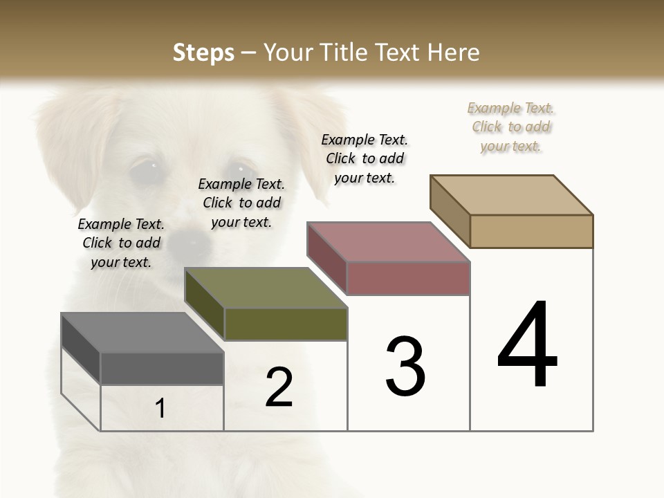 Small Animal Studio PowerPoint Template