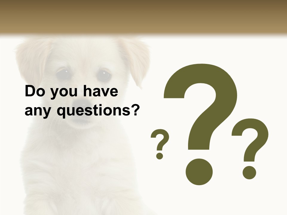 Small Animal Studio PowerPoint Template